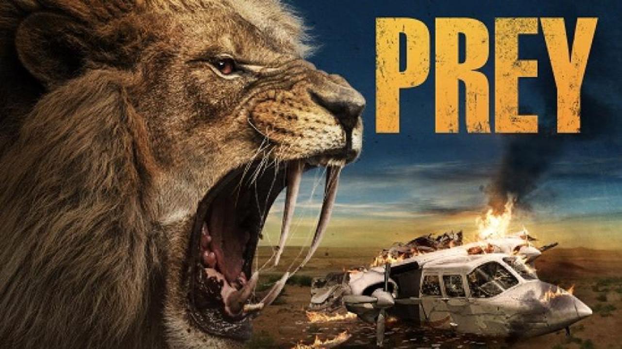 مشاهدة فيلم Prey 2024 مترجم ايجي بست