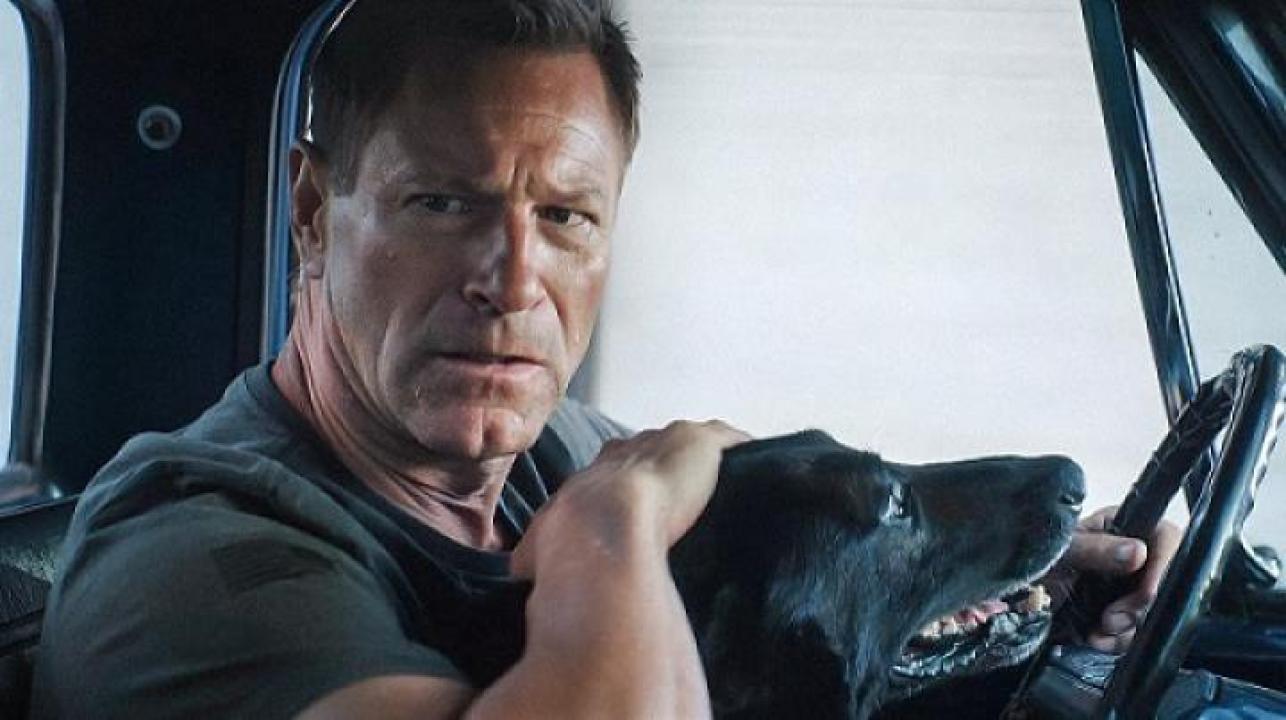 مشاهدة فيلم Muzzle 2 City of Wolves 2025 مدبلج ايجي بست